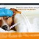 Website Start Becker Hund
